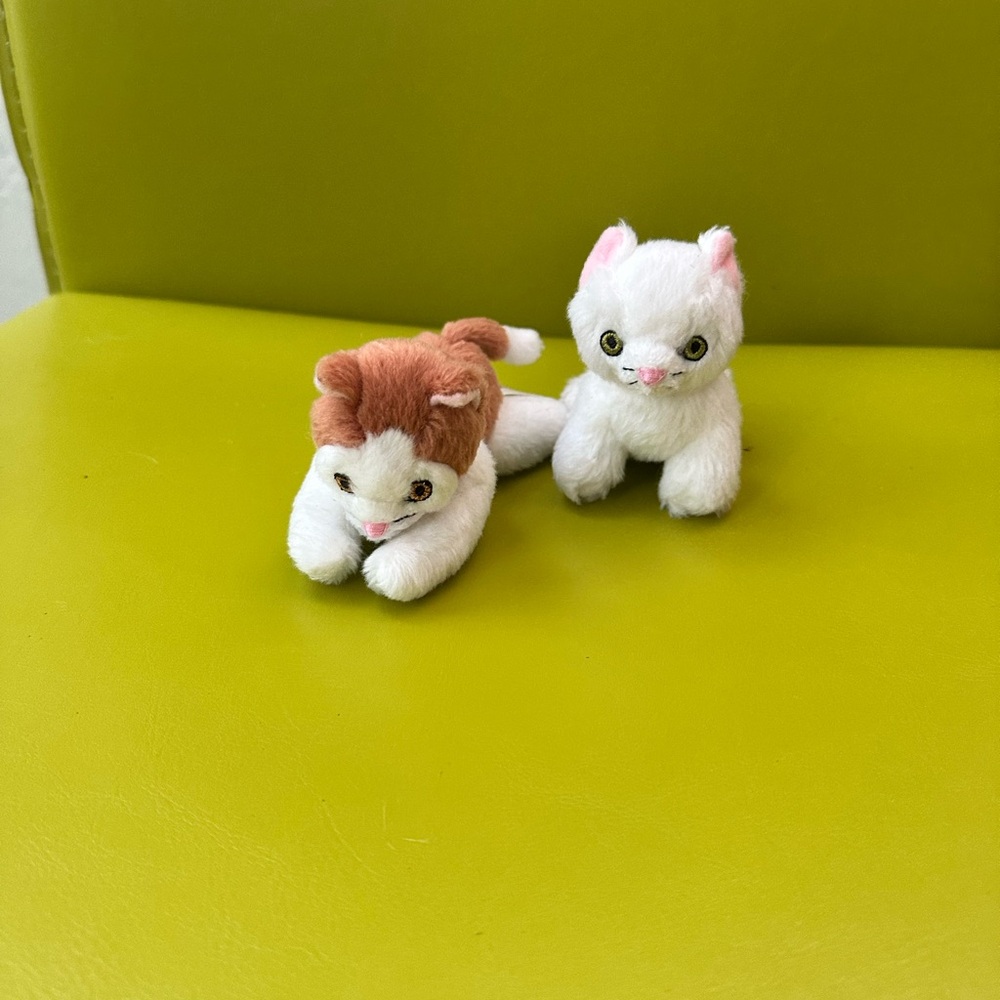 Rebecca Rubin American Girl Cats